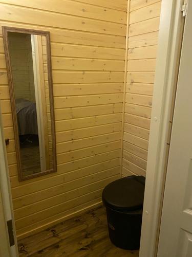 a small bathroom with a toilet and a mirror at Aurora Husky Hut in Inari