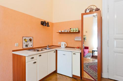 Kuchyň nebo kuchyňský kout v ubytování Apartamenty Pod Aniołami