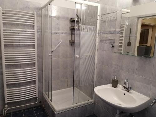 a bathroom with a glass shower and a sink at Jászay vendégház Parádsasvár in Parádsasvár