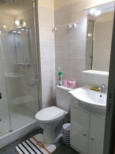 a bathroom with a shower and a toilet and a sink at Ty Keramor in Hôpital-Camfrout