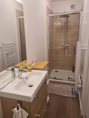 La salle de bains est pourvue d'un lavabo et d'une douche. dans l'établissement Appartement de vacances a St Pierre du Vauvray, à Saint-Pierre-du-Vauvray