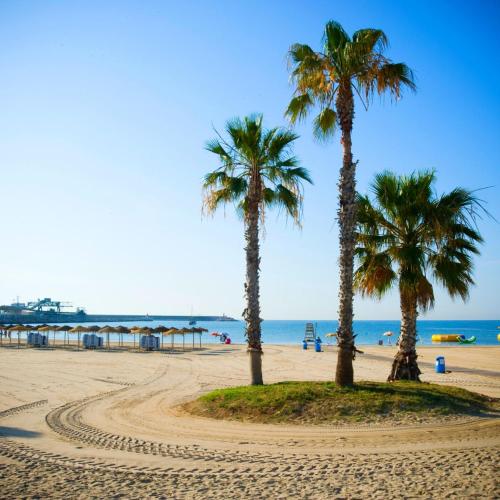 two palm trees on a sandy beach with the ocean at Naufragos Beach Apartment in Torrevieja