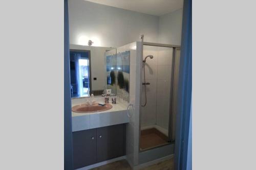 une salle de bain avec un lavabo et une douche dans l'établissement LE PORTE VERRIER - MEUBLE CLASSE 3étoiles - Hypercentre - Terrasse 30M2, Vue Parc, à Vichy