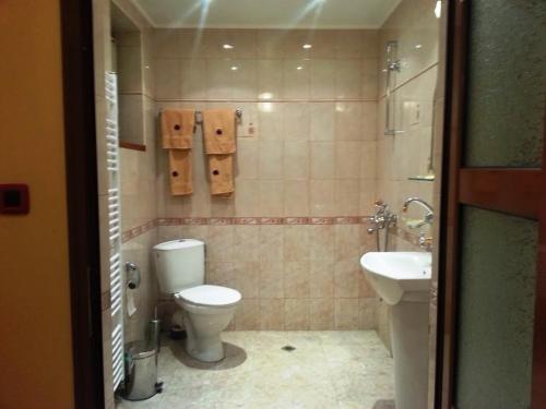 a bathroom with a toilet and a sink at Family Hotel Silvestar in Veliko Tŭrnovo
