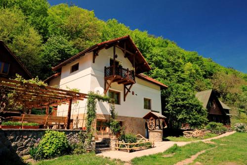 a house in the middle of a forest at Pensiunea Dacica in Boşorod
