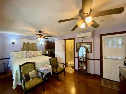1 dormitorio con 1 cama y ventilador de techo en Penny Farthing Inn en St. Augustine