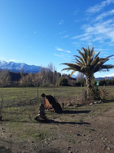 a tent in a field next to a palm tree at Cabañas Puente Negro in Puente Negro