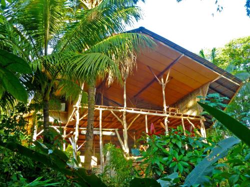 Un jardín fuera de Cascada Verde Eco Lodge & Hostel