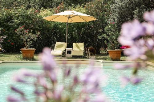 Κήπος έξω από το Gîte Mon Paradis