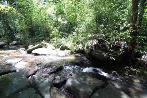 a stream of water with rocks in a forest at Mata Guesthouse in Ko Kood