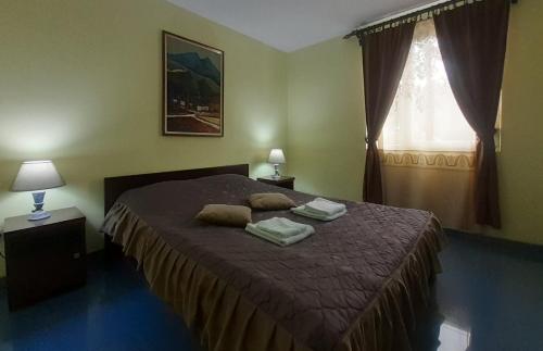 een slaapkamer met een bed met 2 kussens erop bij Hostel Franica in Kuršumlija