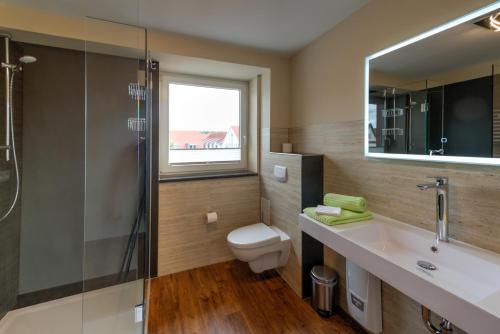 a bathroom with a toilet and a sink and a mirror at Heidequartier Harz in Wernigerode