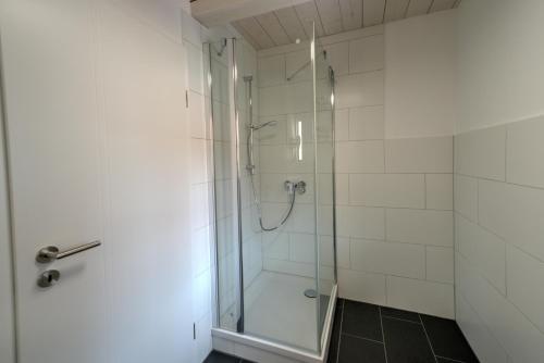 a shower with a glass door in a bathroom at Heidequartier Harz in Wernigerode