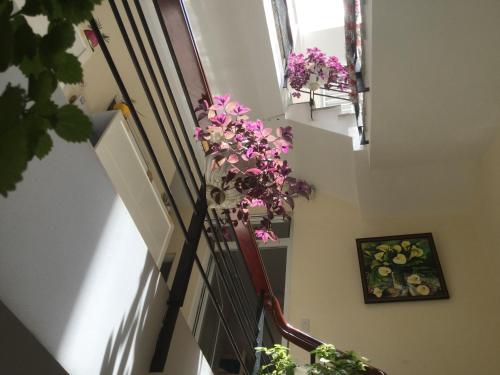 a stairway with a bunch of flowers in a pot at Pretty Backpackers House in Da Lat