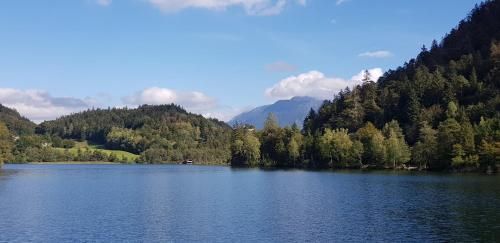 a lake in the middle of a mountain with trees at Alpina Inzell Wohnung 454 in Inzell