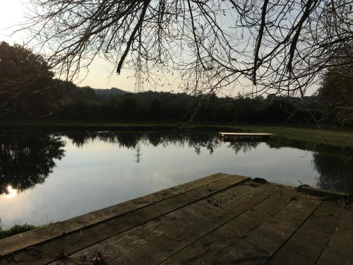 a view of a lake with a wooden dock at Little Barn, Greendale Farm in Barnstaple