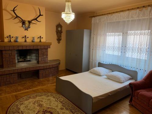 a bedroom with a bed and a fireplace at Приватний будинок in Berehove