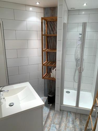 une salle de bain avec douche et lavabo dans l'établissement Maison Britannia au cœur de Biarritz, à Biarritz