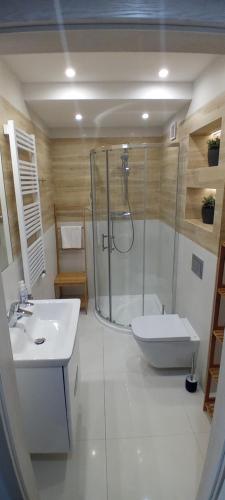 een badkamer met een douche, een toilet en een wastafel bij Górskie Klimaty Sarnia in Karpacz
