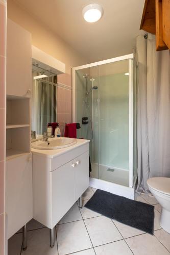 une salle de bain avec un lavabo, une douche et des toilettes dans l'établissement Le nid breton, à Lézardrieux