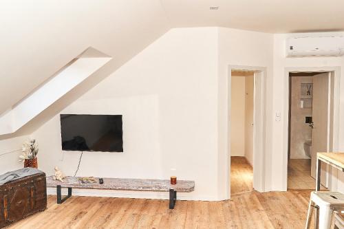TV a/nebo společenská místnost v ubytování Apartmán NEWSTALGIE