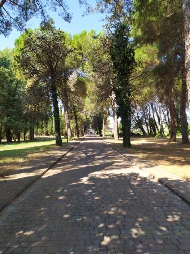 a tree lined street in a park with a sidewalk at Torrenova di Assisi Country House in Assisi