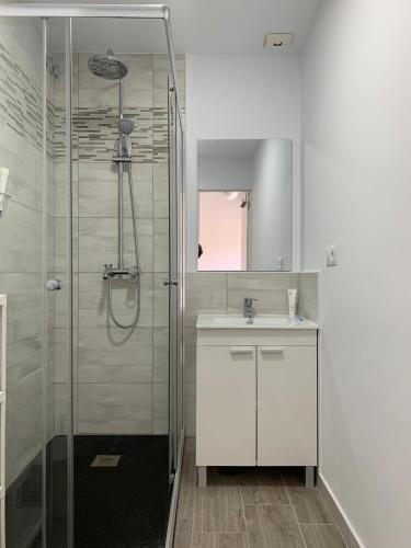 a bathroom with a shower and a sink and a mirror at B&B Casa AriGiLi in Fuengirola
