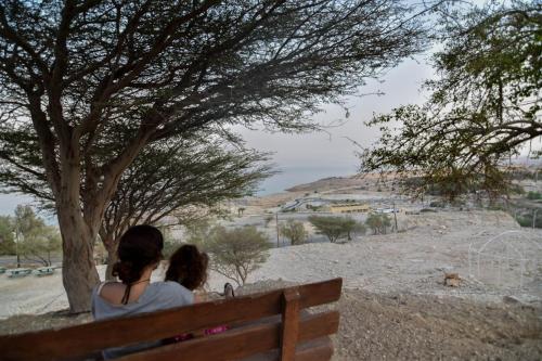 Gallery image of SPNI Ein Gedi Field School in Ein Gedi