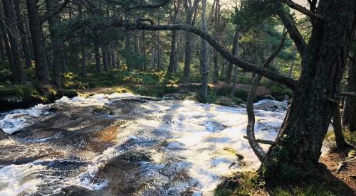 ホームステイの近くで見られる自然の景観