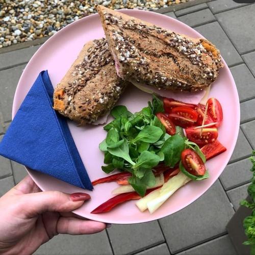 a person holding a plate with a sandwich and salad at Relaxcentrum Ľudmila in Cabaj-Čápor