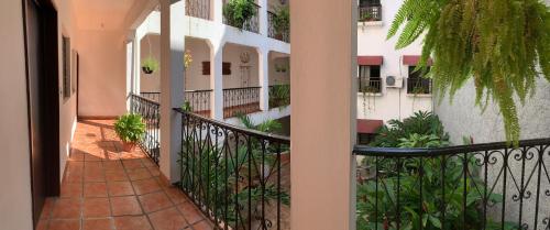 a balcony of a building with a fence and plants at Posada Kin in Palenque