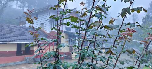 Κήπος έξω από το Balekhan Homestay - Heritage & Mountain View