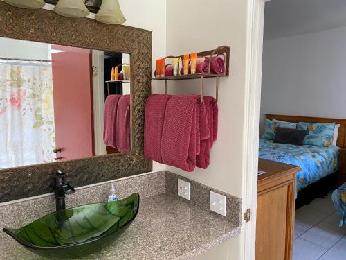 a bathroom with a green sink and a mirror at Villa Rosa Inn in Santa Barbara