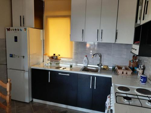 a kitchen with blue cabinets and a white refrigerator at Rujan 1 in Cvetići