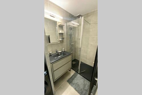 une salle de bain avec un lavabo et une douche dans l'établissement Magnifique Appartement Sainte Cécile Plage, à Camiers