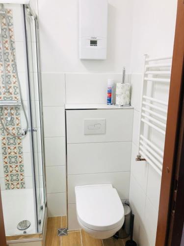 a white bathroom with a toilet and a shower at Ferienwohnung Rapunzel in Altenau