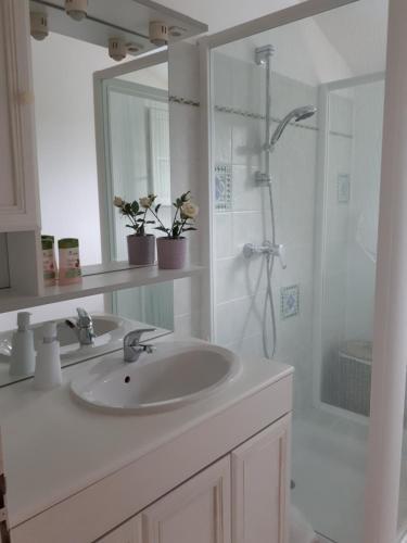 a white bathroom with a sink and a shower at Maison ruisseau l'eau blanche in Léognan