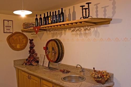 a kitchen counter with a sink and a shelf with wine glasses at Tourist Farm Petelin-Durcik in Pliskovica