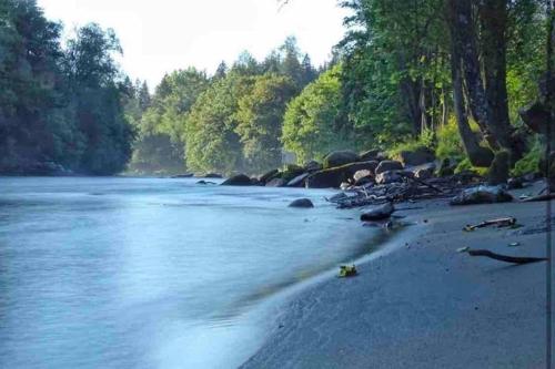 a beach with a body of water with rocks and trees at Ferienwohnung LISL in Obervellach