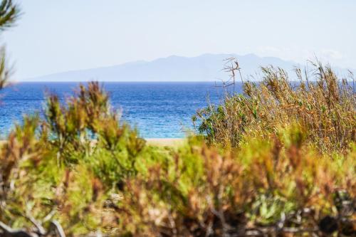 Φυσικό τοπίο κοντά σε αυτό το διαμέρισμα