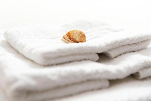 uma pilha de toalhas brancas com uma concha no topo em Appartamento al centro di Anzio em Anzio