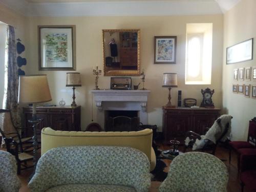 a living room with a couch and a fireplace at Casa da Tia Guida in Golegã