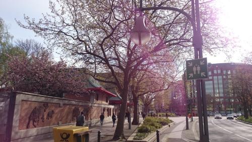 Crowne Plaza Berlin City Centre Ku'damm by IHG photo 89