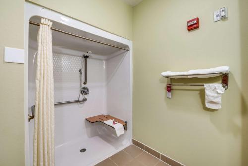 y baño con ducha y cortina de ducha. en Econo Lodge Inn & Suites Little Rock SW, en Little Rock