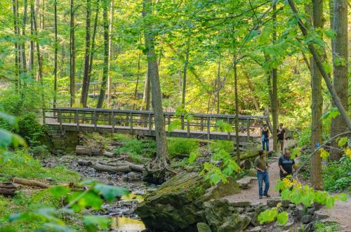 people walking on a bridge over a creek in the woods at Staybridge Suites Hamilton - Downtown by IHG in Hamilton
