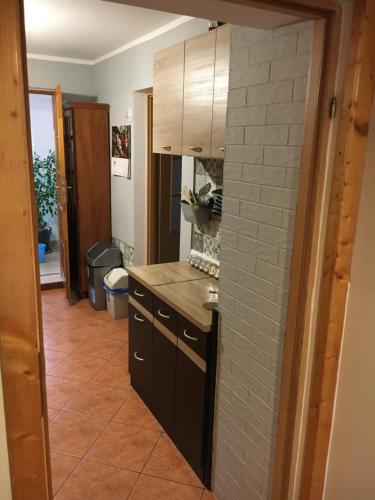 a kitchen with black cabinets and a tile wall at Blachutowka in Krynica Zdrój