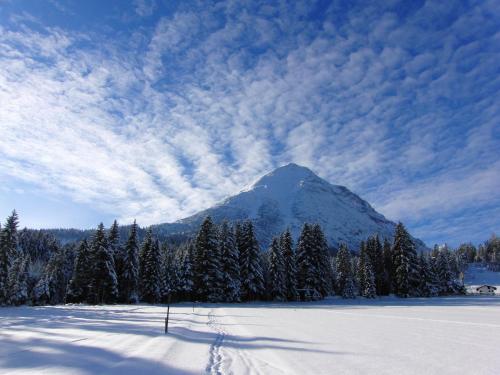 a mountain in the distance with snow and trees at Alpenchalet im Leutaschtal in Leutasch