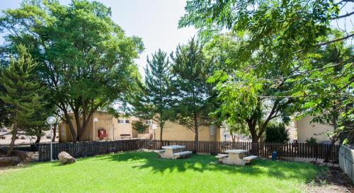 Imagen de la galería de SPNI Golan Field School, en Katzrin