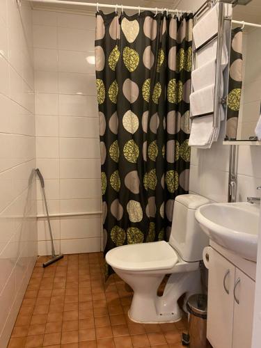 a bathroom with a toilet and a shower curtain at Hotel Aakenus Apartments in Rovaniemi