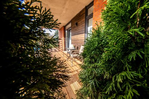 a patio with a table and chairs and plants at Róża Wiatrów in Węgorzewo